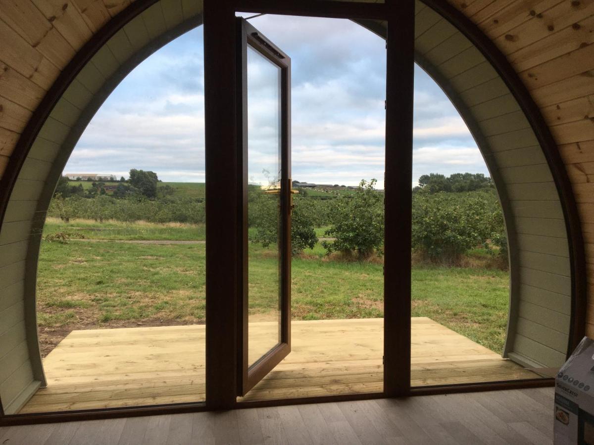 Orchard Luxe Glamping Pod Hotel Dungannon Exterior photo
