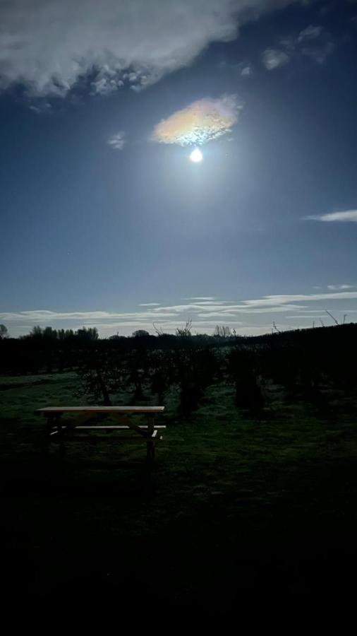 Orchard Luxe Glamping Pod Hotel Dungannon Exterior photo